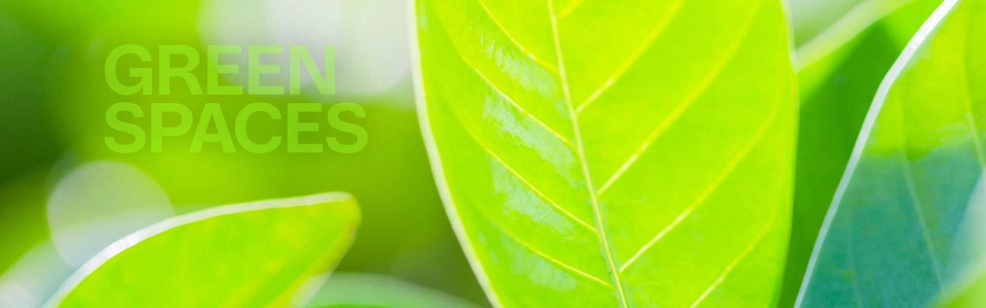 Green-themed banner featuring close-up leaves with the text “GREEN SPACES” in the upper left, set against a soft-focus natural background.