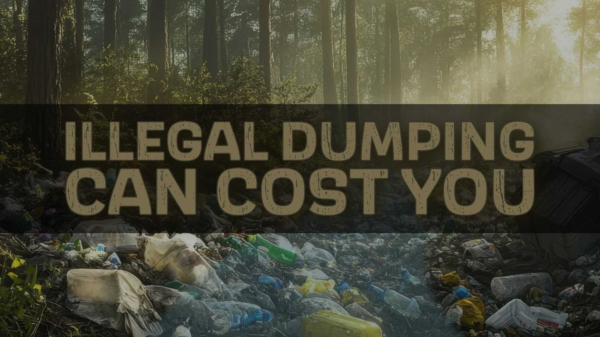 Illegal dumping awareness graphic showing a forest strewn with plastic bottles, bags, and trash debris, with large text reading: “Illegal Dumping Can Cost You.”